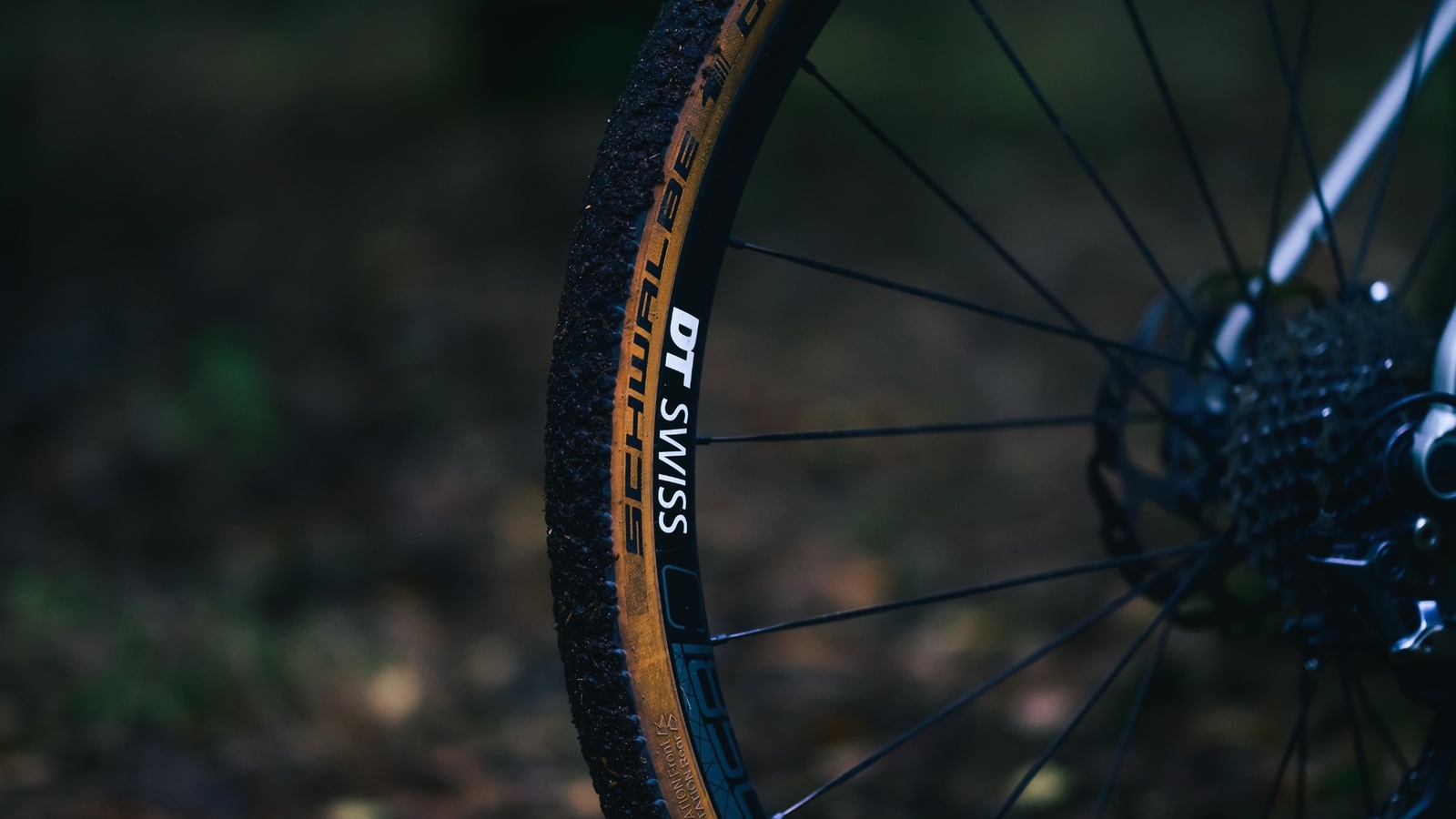 Tubeless lastik takılı gravel bisiklet tekerleği: DT Swiss jant ve bej yanaklı dış lastik