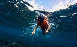 A snorkeler in a life jacket swimming just below the sea surface with a mask and snorkel
