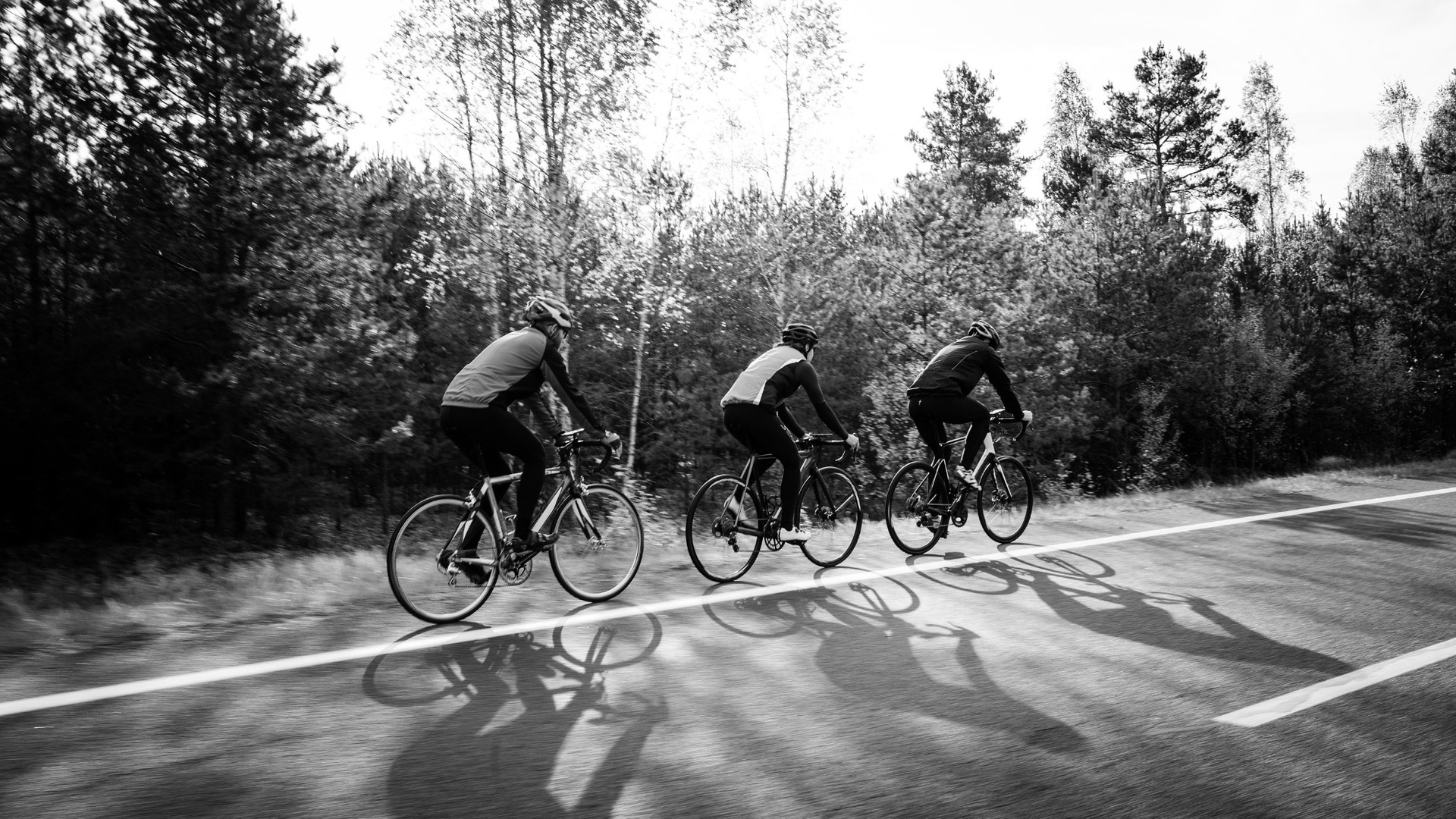Three road cyclists riding in single file on an asphalt road beside an autumn forest, black and white